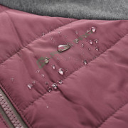 Damen Funktions-Sweatshirt Alpine Pro Jorwa 2