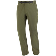 Herrenhose Salomon Wayfarer 2.0 Pants M grün Grape Leaf