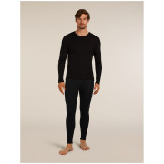 Herren-Funktionsset Icebreaker M 175 Everyday LS Crewe and Leggings Set