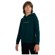 Kinder-Sweatshirt 4F Sweatshirt M1959