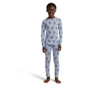 Kinder-Funktionsunterwäsche Icebreaker Kids M 200 Oasis Leggings Bear Tour AOP