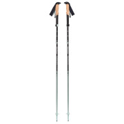 Trekkingstöcke Black Diamond Pursuit FLZ Trekking Poles