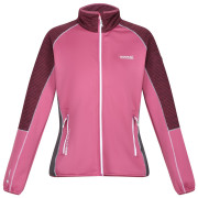 Damen-Sweatshirt Regatta Wmns Yare VI rosa Violet/AmaHz