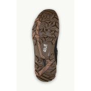 Pánské zimní boty Jack Wolfskin Everquest Texapore Mid M