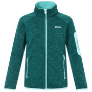 Kinder-Sweatshirt Regatta Junior Newhill DrkForGlacGr grün DrkForGlacGr