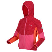 Kinder-Sweatshirt Regatta Dissolver VIII