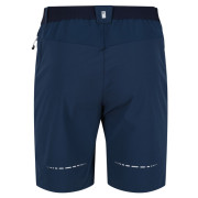 Herrenshorts Regatta Mountain ShortsII