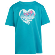 Kinder-T-Shirt Regatta Alvarado VIII blau Tahoe Blue