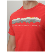 Herren-T-Shirt Loap Botax