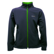 Herrenjacke Regatta Cera III Softshell grau
