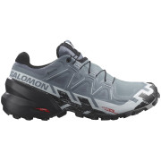 Damenschuhe Salomon Speedcross 6 Gore-Tex gelb Lime Cream / Mahogany Rose / Black