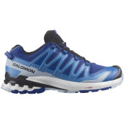 Herrenschuhe Salomon Xa Pro 3D V9