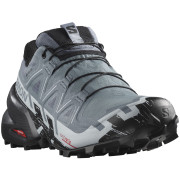 Damenschuhe Salomon Speedcross 6 Gore-Tex grau Flint Stone / Black / Heather