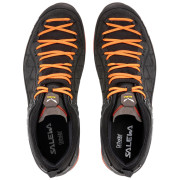 Herrenschuhe Salewa Ms Mtn Trainer 2 Gtx