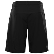 Herrenshorts Alpine Pro Bak 2
