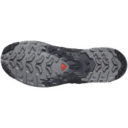 Wanderschuhe Salomon Xa Pro 3D V9 Gore-Tex