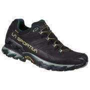 Herrenschuhe La Sportiva Ultra Raptor II Leather GTX