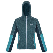 Damen-Sweatshirt Regatta Walbury IV blau Dragnfly/Pag