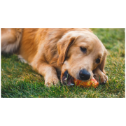 Hundespielzeug Ruffwear Gnawt-a-Cone™ Toy