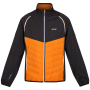 Herrenjacke Regatta Steren Hybrid orange Orange Pepper/Ash