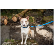 Hundeleine Mountain Paws Waterproof Dog Lead