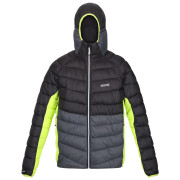 Herren-Winterjacke Regatta Harrock schwarz Black/DkGrey