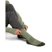 Damensocken Icebreaker W Mer Hike+ Light Crew