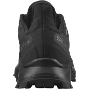 Damenschuhe Salomon Alphacross 3 Gore-Tex