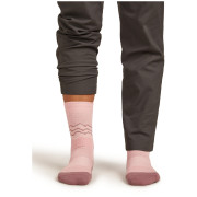 Damensocken Icebreaker Women Merino Hike+ Medium Crew Across the Peaks