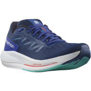 Herren Laufschuhe Salomon Spectur