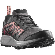 Damen Laufschuhe Salomon Wander Gore-Tex grau Plum Kitten / Black / Peach Amber