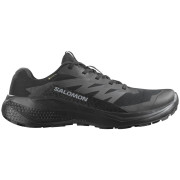 Herren Laufschuhe Salomon Alphaglide Gore-Tex
