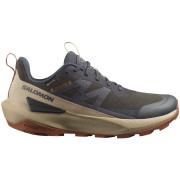 Damen Trekkingschuhe Salomon Elixir Activ Gore-Tex grau Phantom / Safari / Caramel Cafe