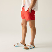Herrenbadeanzug Regatta Mawson Swim Shorts III