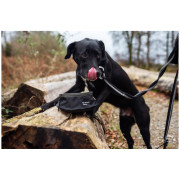 Hundenapf Mountain Paws Collapsible Dog Food Bowl