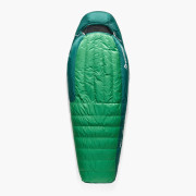 Daunenschlafsack Sea to Summit Ascent -1C Long grün Rain Forest Green