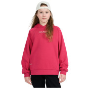 Kinder-Sweatshirt 4F Sweatshirt F1934