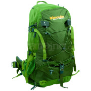 Rucksack Pinguin Vector 35 (2019) grün