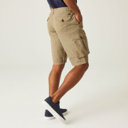 Herrenshorts Regatta Shorebay Short