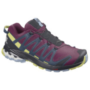 Damenschuhe Salomon Xa Pro 3D V8 GTX W rot PlumCaspia