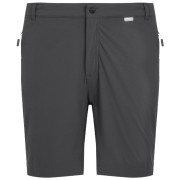 Herrenshorts Regatta Mountain ShortsII M