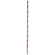 Kletterseil Beal Berlin 9.8 mm (40 m)