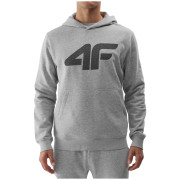 Herren-Sweatshirt 4F Sweatshirt M0950 hellgrau Cold Light Grey Melange