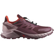 Damen Laufschuhe Salomon Supercross 4 GTX