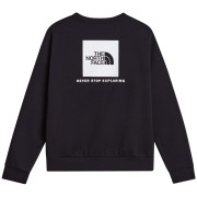 Herren-Sweatshirt The North Face M Evolution Box Nse Regular Crew