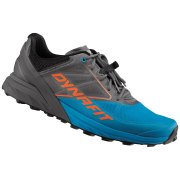 Herren Laufschuhe Dynafit Alpine blau/grau Magnet/Frost