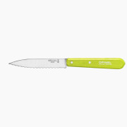 Messer Opinel N°113 Sweet pop grün