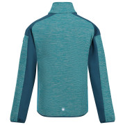 Kinder-Sweatshirt Regatta Jn Highton FZ III