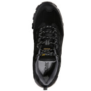 Herrenschuhe Regatta Holcombe IEP Low