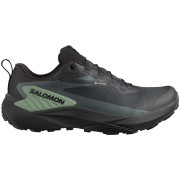 Herrenschuhe Salomon Genesis Gore-Tex schwarz/grün Black / Agave Green / Urban Chic